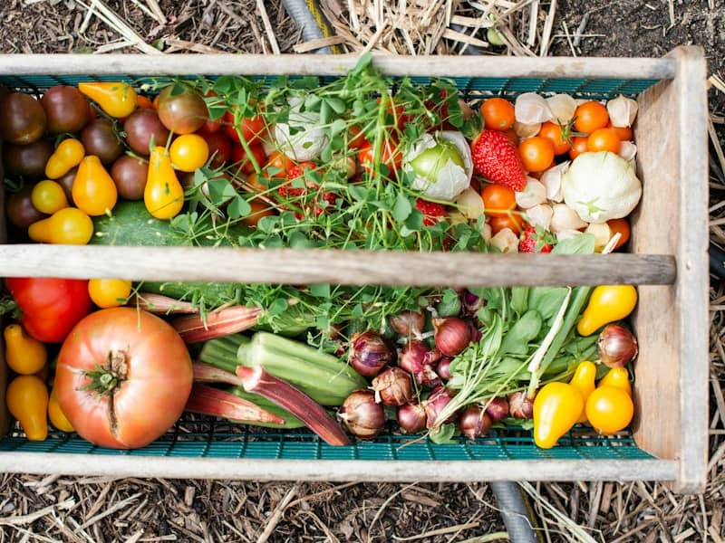Kiste mit frischem Gemüse, darunter Tomaten und Zwiebeln