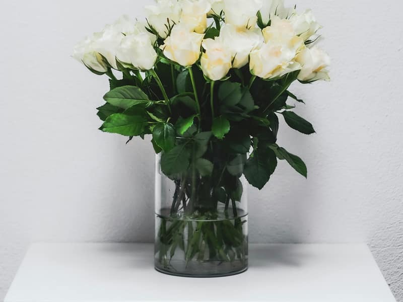 Weiße Rosen in einer Glasvase