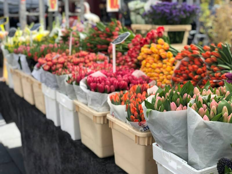 Marktstand mit Tulpen und anderen Blumen in Kisten
